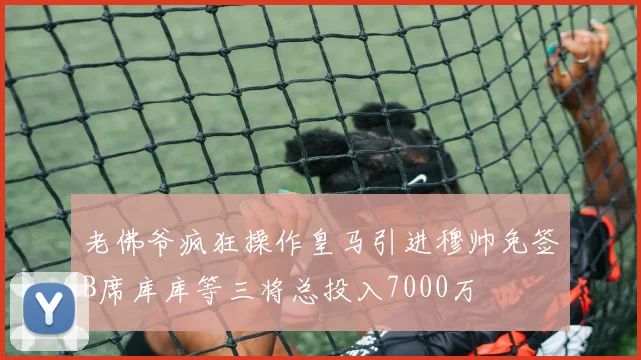 老佛爷疯狂操作皇马引进穆帅免签B席库库等三将总投入7000万
